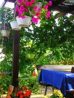 APARTMAN AMFORA 1